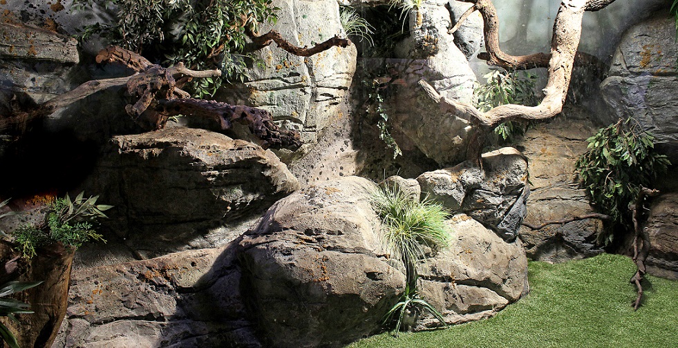 tematizaciones diseño ambientes jardines exteriores